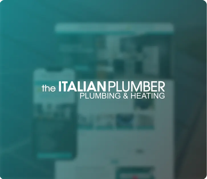 The Italian Plumber